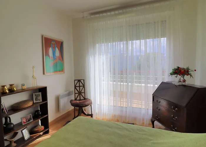 Lumineux Et Spacieux Avec Terrasses Et Ascenseur En Centre-ville De - Fr-1-494-182 公寓