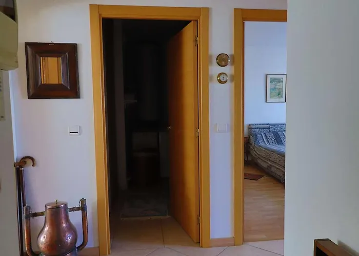 公寓 Lumineux Et Spacieux Avec Terrasses Et Ascenseur En Centre-ville De - Fr-1-494-182 鲁瓦扬