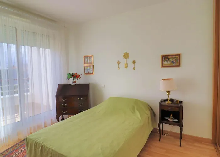 Lumineux Et Spacieux Avec Terrasses Et Ascenseur En Centre-ville De - Fr-1-494-182 鲁瓦扬