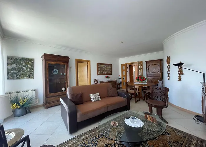 公寓 Lumineux Et Spacieux Avec Terrasses Et Ascenseur En Centre-ville De - Fr-1-494-182