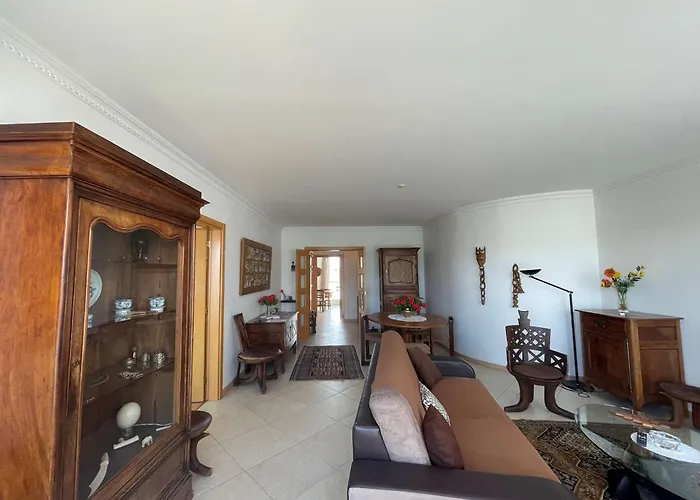 公寓 Lumineux Et Spacieux Avec Terrasses Et Ascenseur En Centre-ville De - Fr-1-494-182 鲁瓦扬